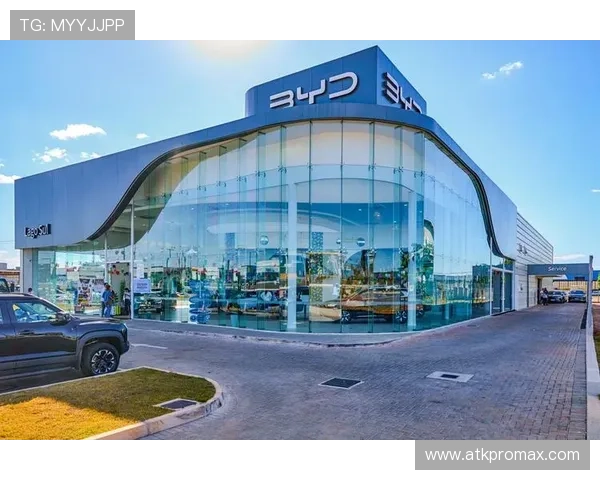 币游国际PA的全球布局战略与未来发展潜力，助力企业迈向国际化新台阶